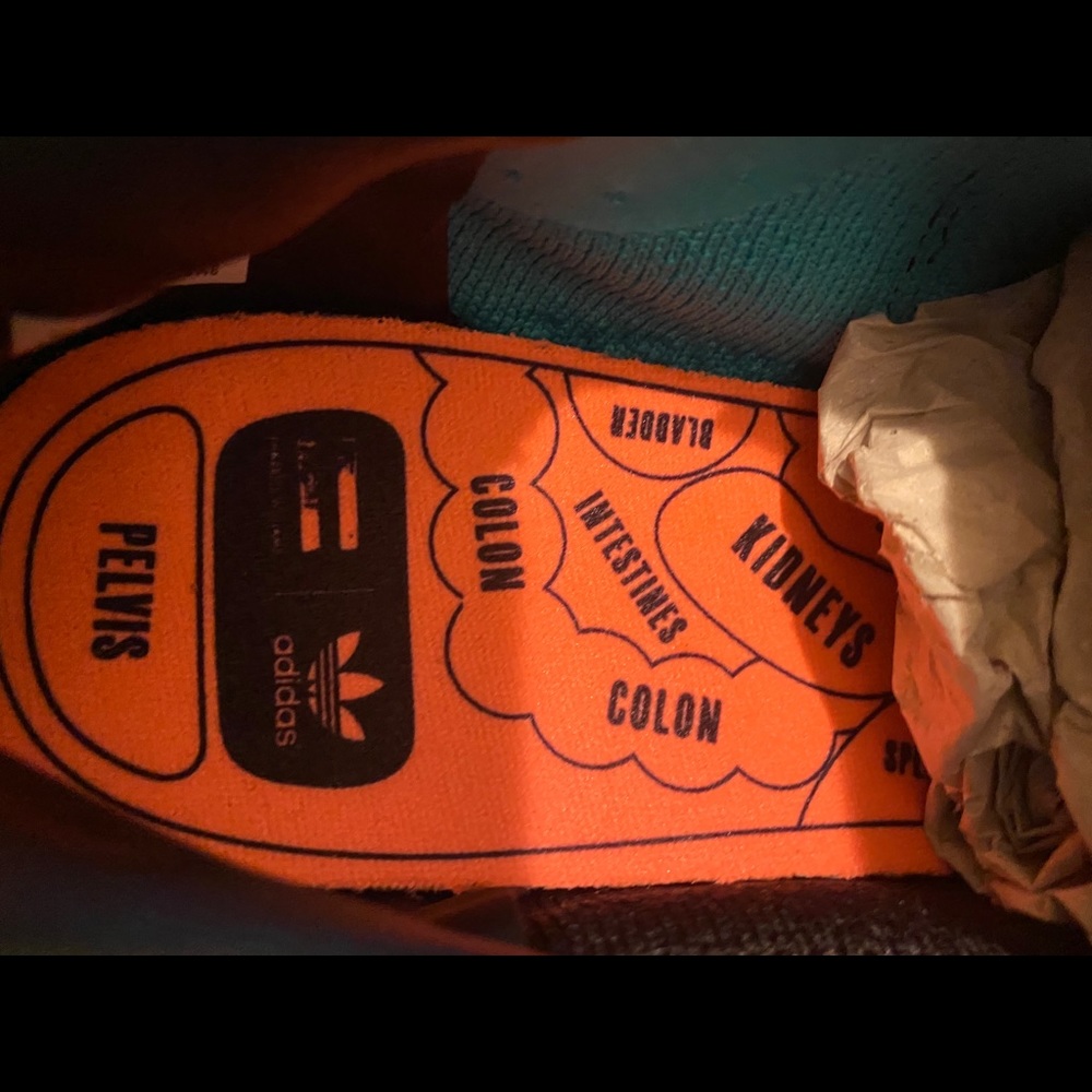 Adidas Pharrell Williams Superstar - Picture 4 of 4